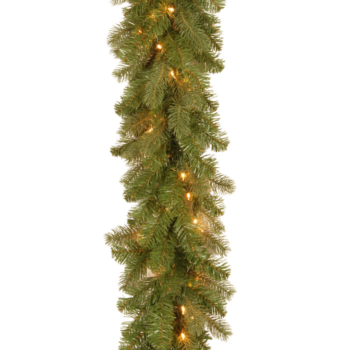 Colorado Garland Pre-Lit