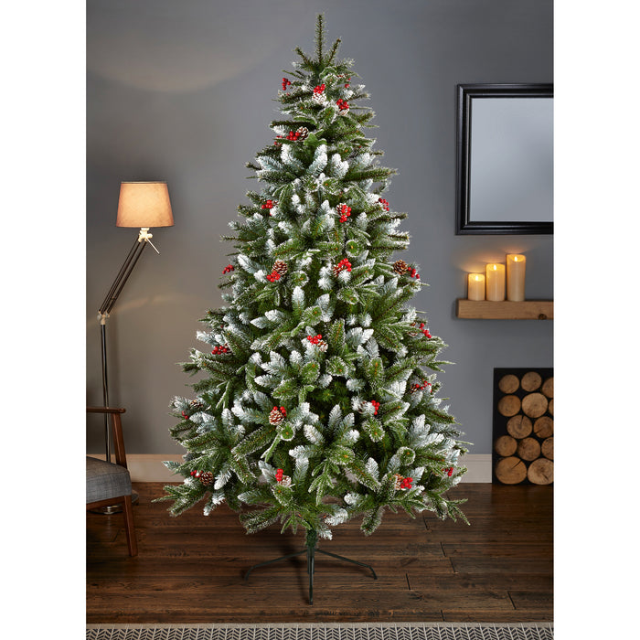 6ft New Jersey Spruce