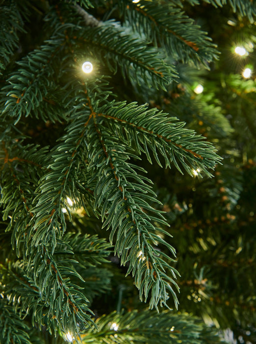 6.5FT Grande Balsam Fir Pre-Lit