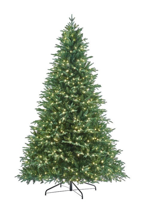 6.5FT Grande Balsam Fir Pre-Lit