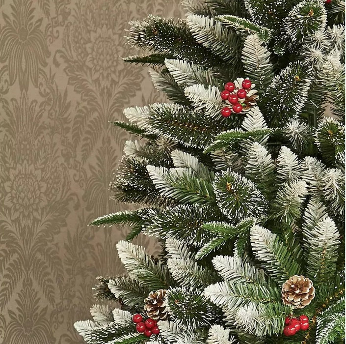 7ft New Jersey Spruce