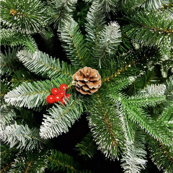 7ft New Jersey Spruce