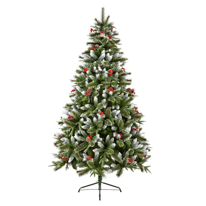 6ft New Jersey Spruce